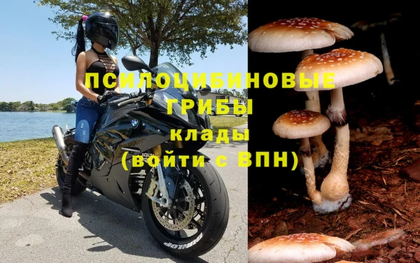 круглые Бородино