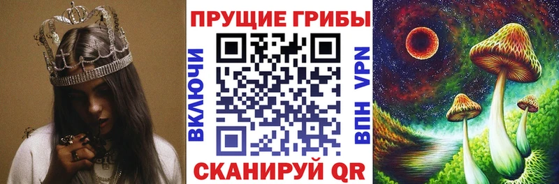 Псилоцибиновые грибы прущие грибы  Купить где  Назарово 